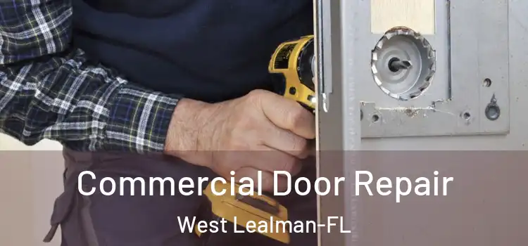 Commercial Door Repair West Lealman-FL