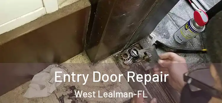 Entry Door Repair West Lealman-FL