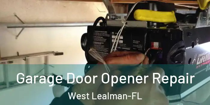 Garage Door Opener Repair West Lealman-FL