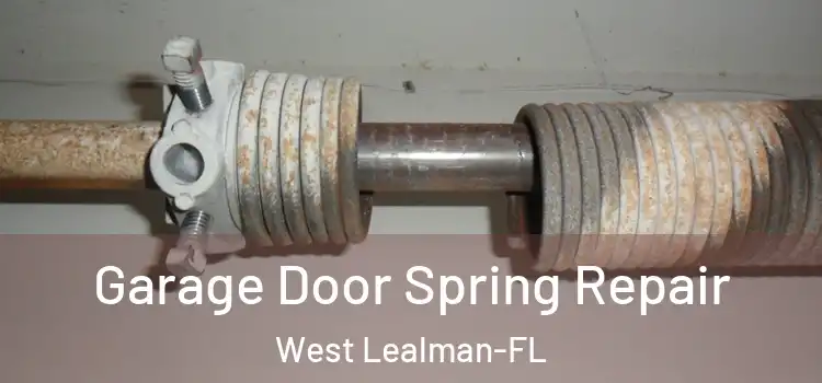 Garage Door Spring Repair West Lealman-FL