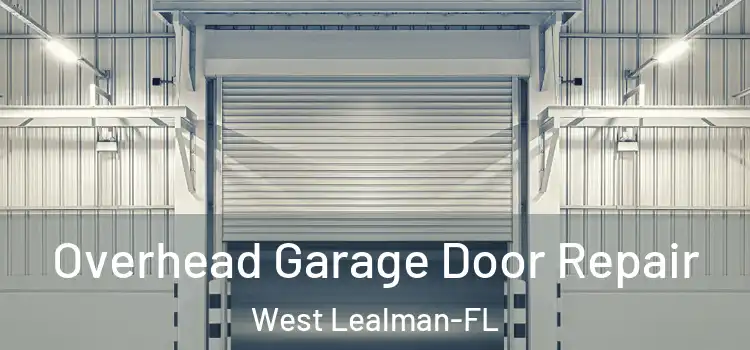 Overhead Garage Door Repair West Lealman-FL