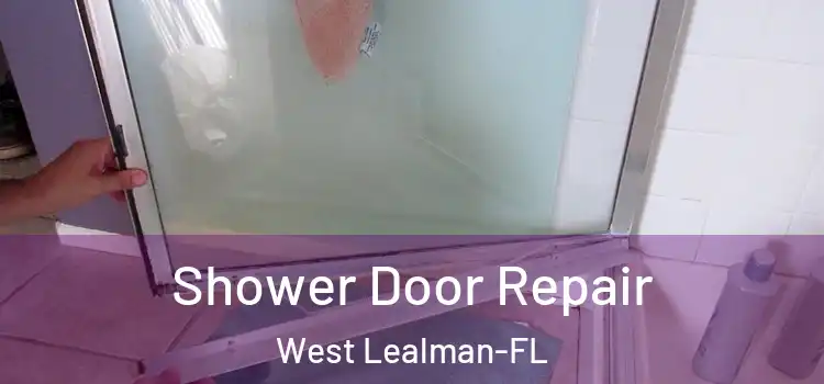  Shower Door Repair West Lealman-FL